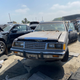 Illustration for article titled Since A Lot Of Us Are Stuck Inside, Here Are Some Cool Junkyard Cars That Arent Going Anywhere Either